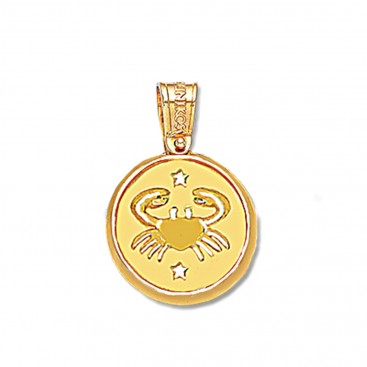 Zodiac Sign Round Charm Pendant ~ 14K Solid Yellow Gold