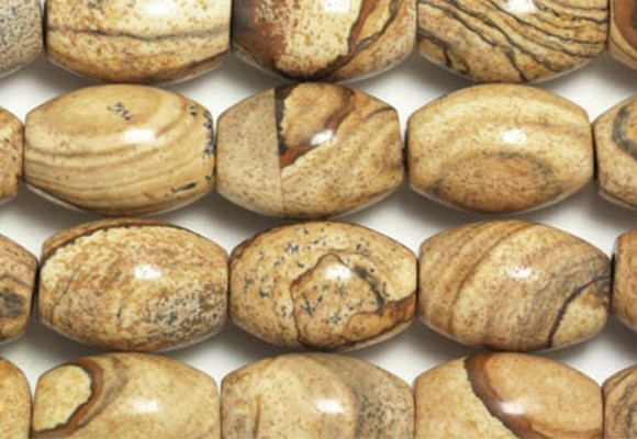 Petrified Wood Opal - History & Properties